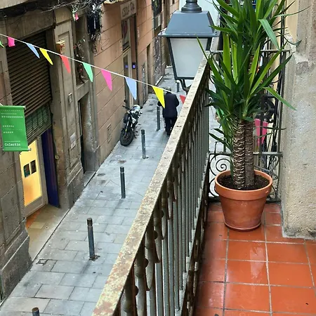 S3.mercat Sant Antoni - Location. Metro L2 Barcelona